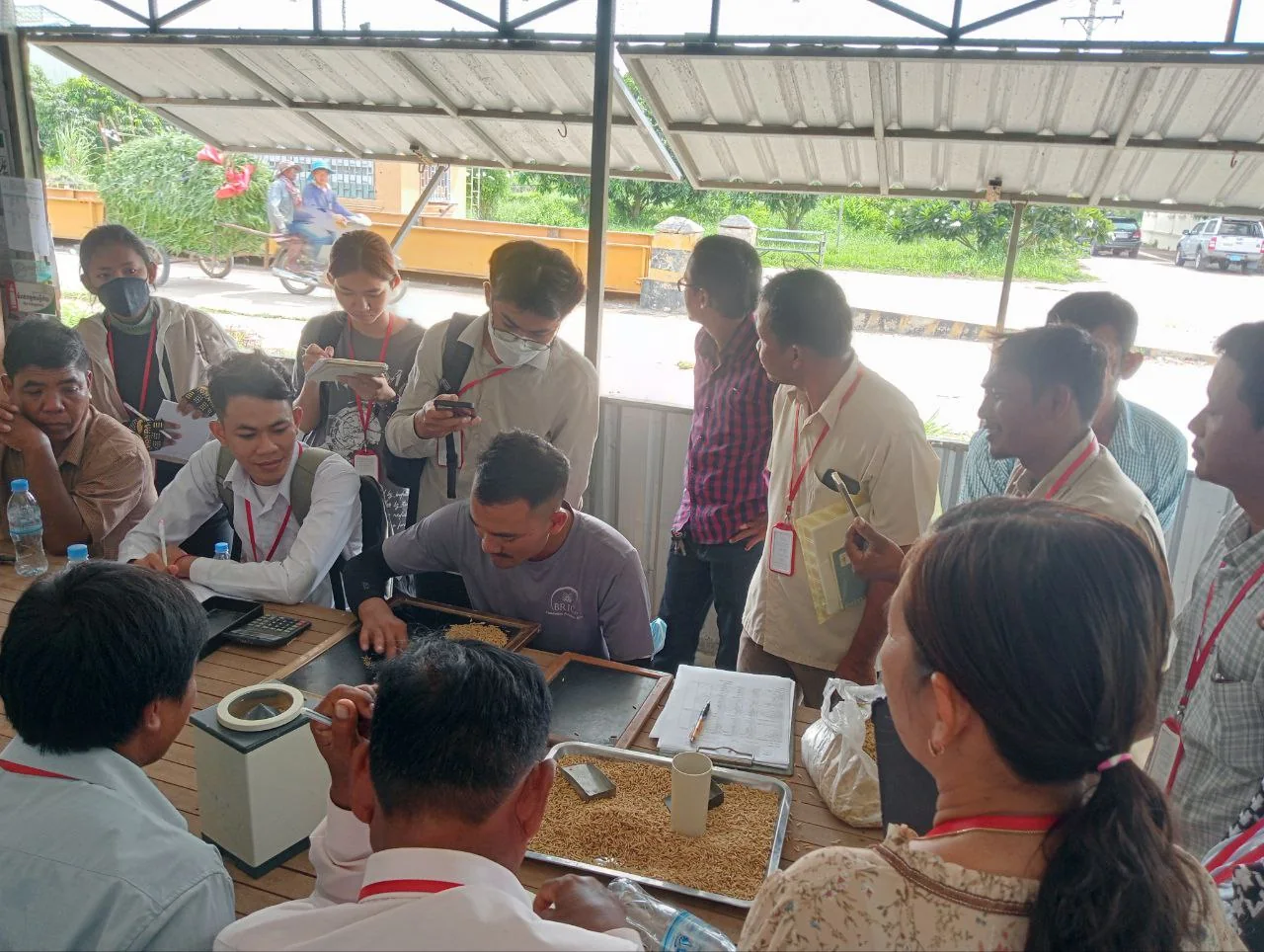 Participants examine rice during a practical quality demonstration