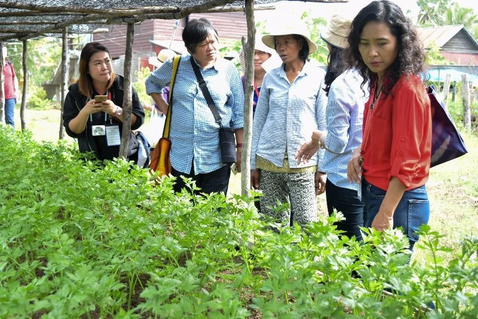 Participants observe vegetable production during a field visit