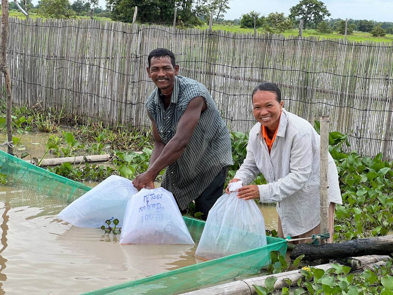 Two farmers holding fish bags at an integrated rice-field fish site in Siem Reap